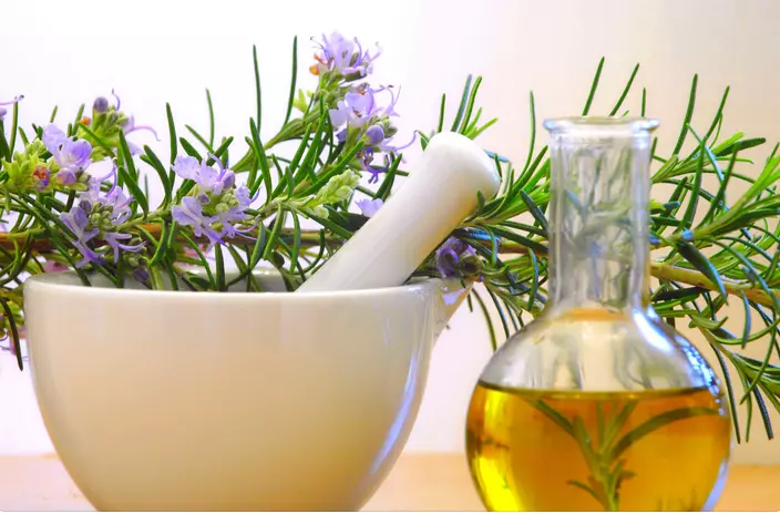 is rosemary good for hair