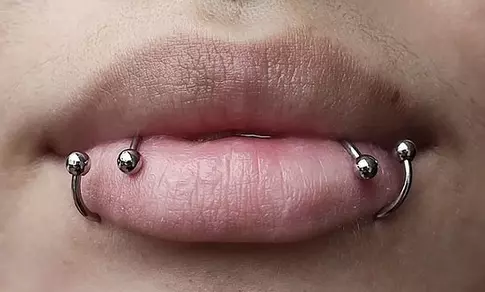 snake bite piercing