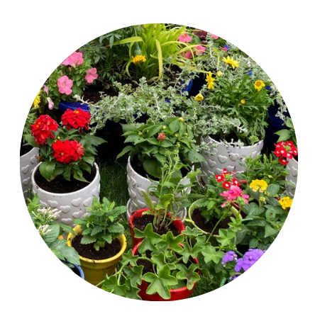 flower garden for self care how to start your own garden