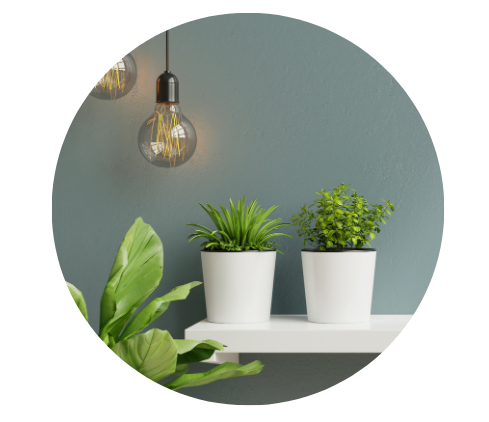 flower garden for self care how to start your own garden