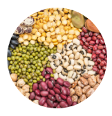 anti-bloat daily habits
